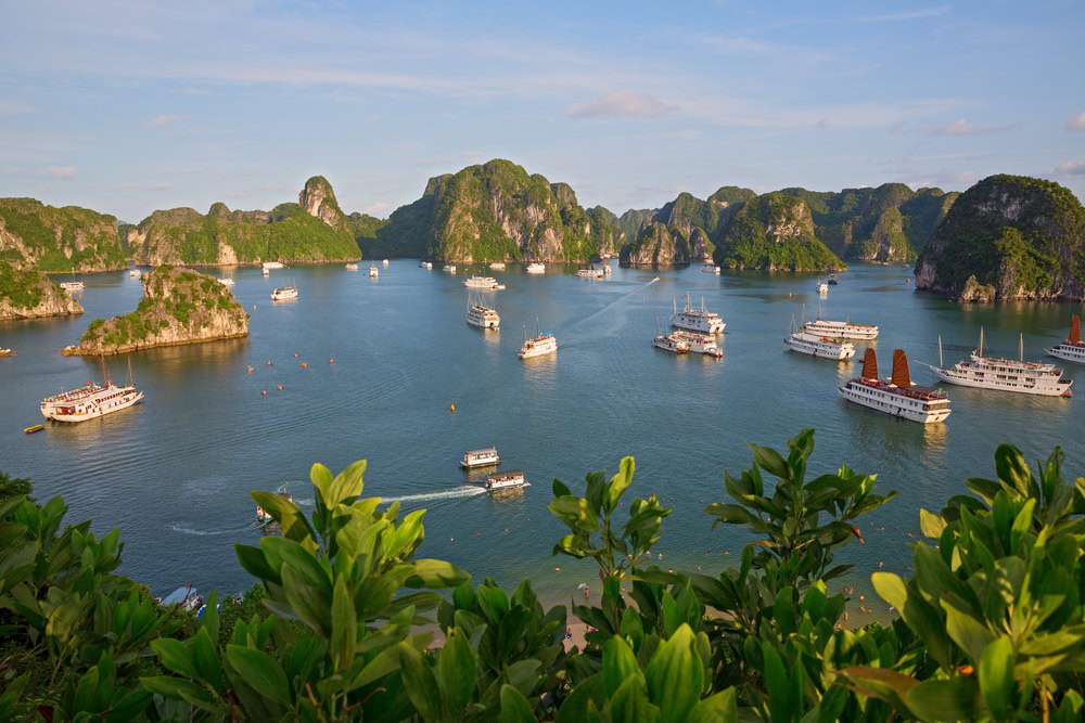 Halong Bay Travel Guide Tour Packages To Halong Bay