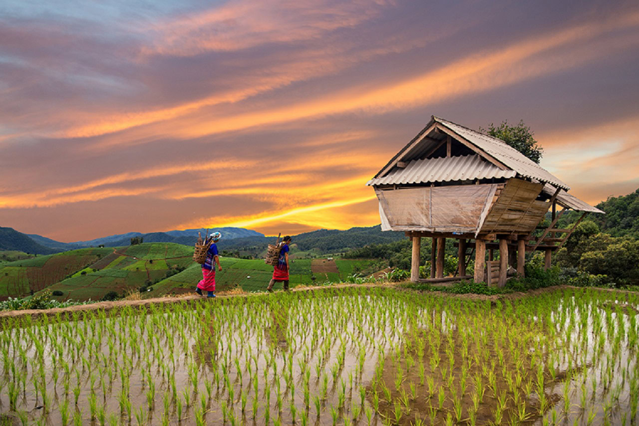 Trekkingtouren Nordthailand