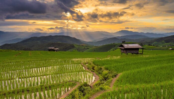 Nordthailand Berglandschaft mit Reisfeldern um Chiang Rai